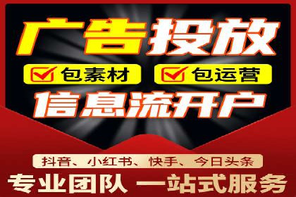某公司SEM代理策略：实现流量转化
