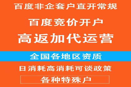 案例分析：如何通过百度广告竞价提升转化率